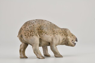 COLLECTA LISOWICIA SKALA 1:20 (DELUXE) 3