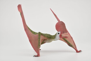 COLLECTA CAVIRAMUS SKALA 1:20 (DELUXE) 3