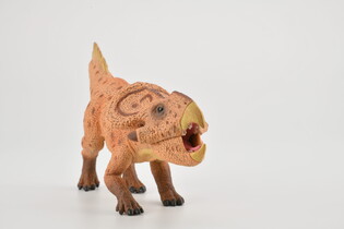 COLLECTA DINOZAUR PROTOCERATOPS 3