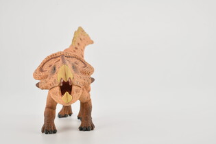 COLLECTA DINOZAUR PROTOCERATOPS 4