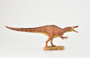 COLLECTA DINOZAUR BARIONYKS SKALA 1:40 (DELUXE) 4