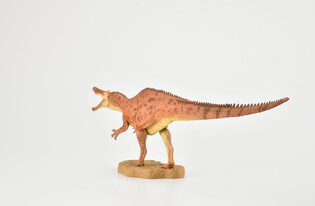COLLECTA DINOZAUR BARIONYKS SKALA 1:40 (DELUXE) 5