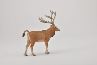 COLLECTA MILU CHIŃSKI 5