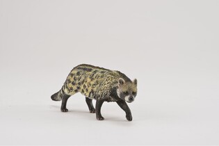 COLLECTA CYWETA AFRYKAŃSKA 3