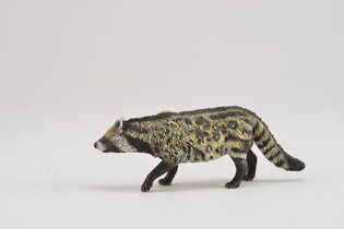 COLLECTA CYWETA AFRYKAŃSKA 4