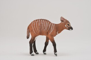 COLLECTA KROWA BONGO 4