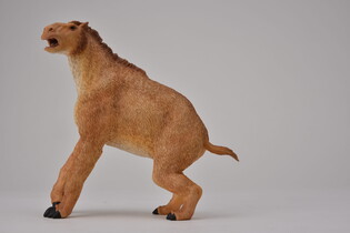 COLLECTA MOROPUS SKALA 1:20 (DELUXE) 3