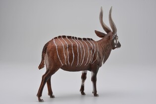 COLLECTA ANTYLOPA BONGO 5