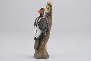 COLLECTA DZIĘCIOŁ WIELKODZIOBY 3