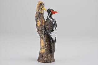 COLLECTA DZIĘCIOŁ WIELKODZIOBY 4