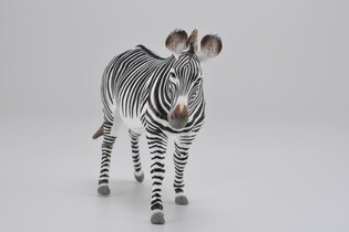 COLLECTA ZEBRA GREVY"EGO 4