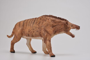 COLLECTA ANDREWSARCHUS SKALA 1:20 (DELUXE) 4