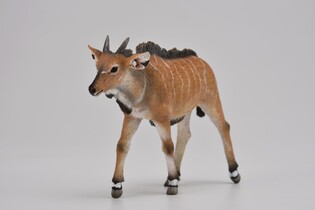 COLLECTA ANTYLOPA ELAND CIELĘ 3