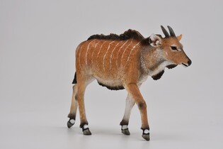 COLLECTA ANTYLOPA ELAND CIELĘ 4