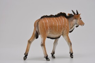 COLLECTA ANTYLOPA ELAND CIELĘ 5