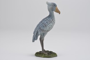 COLLECTA TRZEWIKODZIÓB 4
