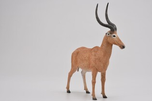 COLLECTA HIROLA 4