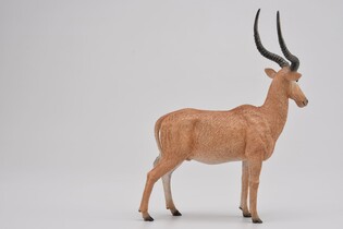 COLLECTA HIROLA 5