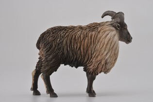 COLLECTA TAR HIMALAJSKI 5
