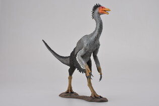 COLLECTA DINOZAUR BEISHANLONG SKALA 1:40 (DELUXE) 3