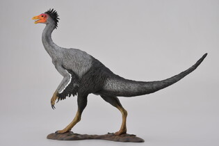 COLLECTA DINOZAUR BEISHANLONG SKALA 1:40 (DELUXE) 4