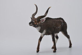 COLLECTA KOZICA GÓRSKA 3