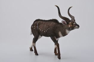 COLLECTA KOZICA GÓRSKA 4