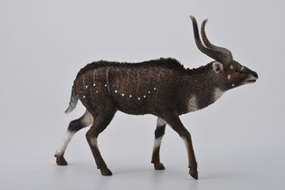 COLLECTA KOZICA GÓRSKA 5