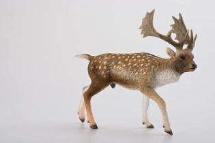 COLLECTA JELEŃ DANIEL SAMIEC 4