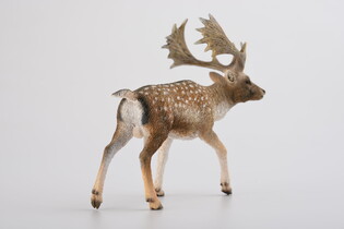 COLLECTA JELEŃ DANIEL SAMIEC 5