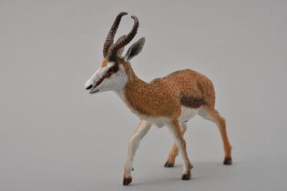 COLLECTA KOZICA SPRINGBOK 3