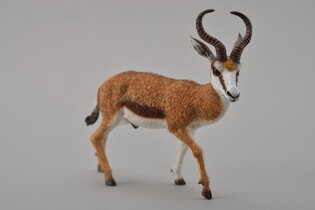 COLLECTA KOZICA SPRINGBOK 4