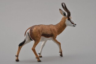 COLLECTA KOZICA SPRINGBOK 5