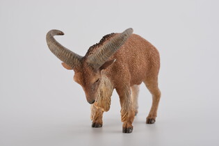 COLLECTA OWCA GRZYWIASTA 3
