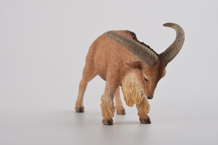 COLLECTA OWCA GRZYWIASTA 4