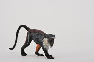 COLLECTA KOCZKODAN 3