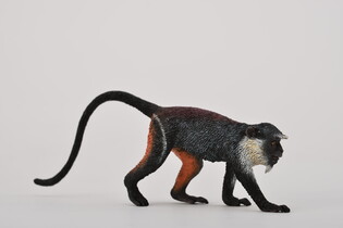 COLLECTA KOCZKODAN 4