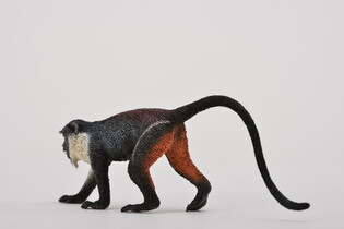 COLLECTA KOCZKODAN 5