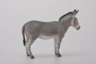 COLLECTA OSIOŁ AFRYKAŃSKI 4
