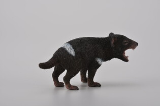 COLLECTA DIABEŁ TASMAŃSKI 3