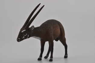 COLLECTA KOZICA SAOLA 3