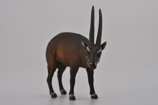 COLLECTA KOZICA SAOLA 4