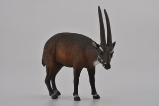 COLLECTA KOZICA SAOLA 5