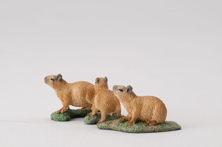 COLLECTA KAPIBARA MŁODE 3