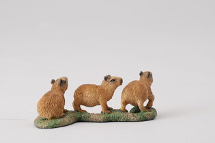 COLLECTA KAPIBARA MŁODE 4