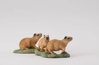 COLLECTA KAPIBARA MŁODE 5