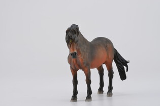 COLLECTA ŹREBIĘ BAY DARTMOOR 3