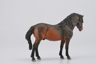 COLLECTA ŹREBIĘ BAY DARTMOOR 5