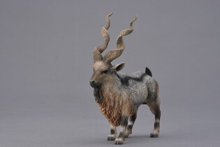 COLLECTA KOZA ŚRUBOROGA MARKHOR 3