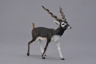 COLLECTA ANTYLOPA BLACKBUCK 4